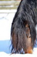 /album/timo/a2012-02-04-224-timo-jpg/